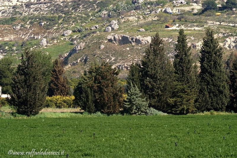 ESCURSIONE CASTELLI VAL DI NOTO 15MAR09 (4).jpg